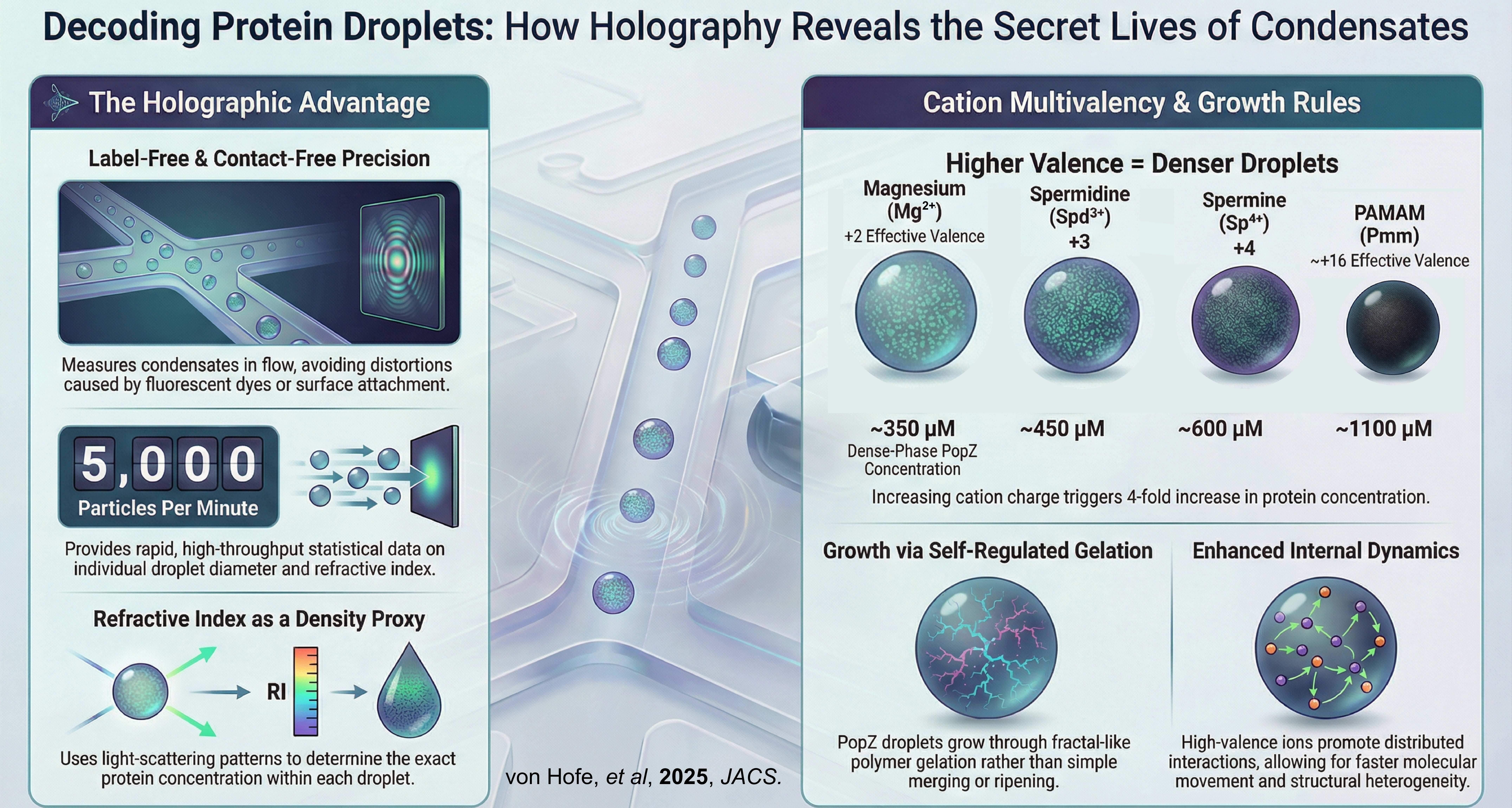 PopZ Growth Dynamics - JACS
