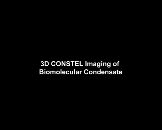 A tunable aqueous architecture modulates functional output in biomolecular condensates